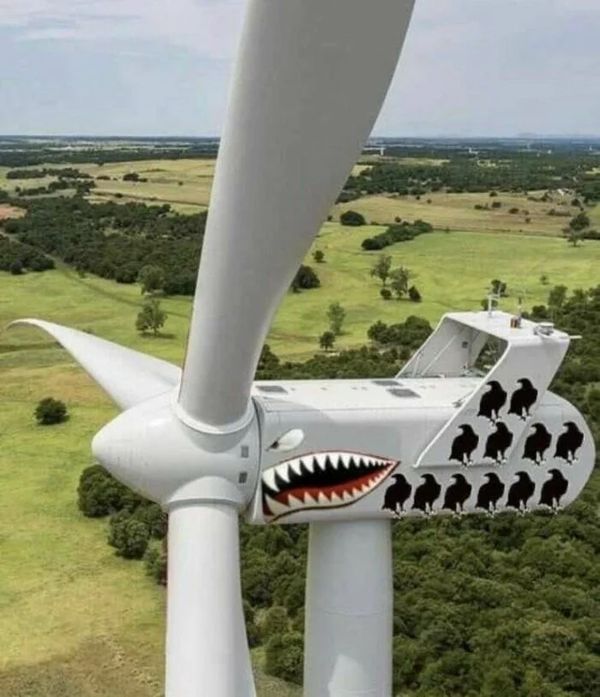 255159